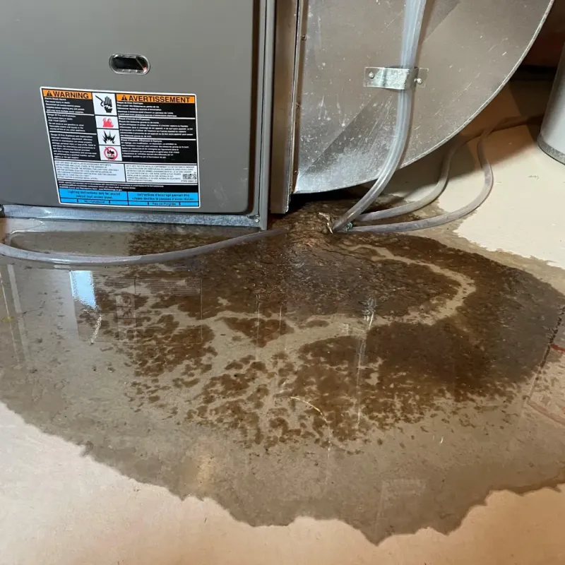 Appliance Leak Cleanup in McCordsville, IN